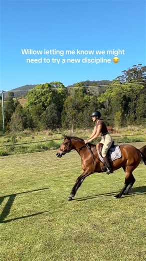 Future reining horse? #horseriding #sliding stop | My Horse Willow