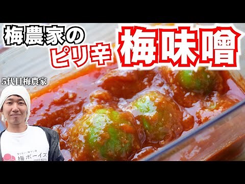 【1年保存可能】梅農家の梅味噌(ピリ辛)の作り方。簡単なのに極上の味になります。
