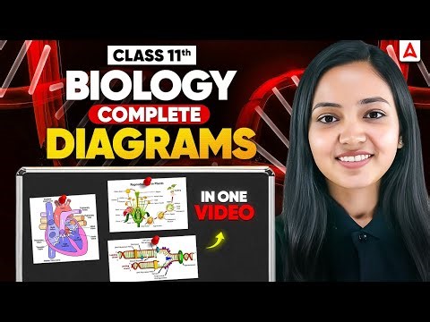 NEET 2026 Biology | Complete Biology Diagrams in One video | Shivani Ma'am