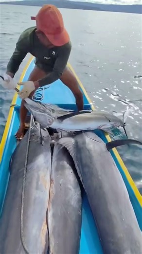 Not fishing, but raw nearshore harvesting