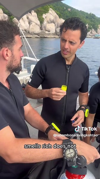 We all have that one friend… The self-declared scuba guru. Claims he was “born in the ocean.” This is what the diving in Koh Tao with. La Bombona experience looks like — full of adventure, beauty, and yes… and a few ocean philosophers So if you’re ready for your own Koh Tao diving experience and If you’re planning to go scuba diving , make sure you bring a sense of humor 😂 Tag the friend who thinks they invented buoyancy control. #reel #humor @jose.ramones