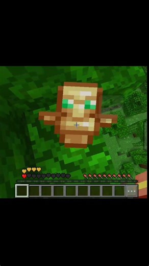 Minecraft clutch #minecraft