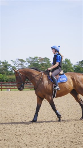 🇬🇧 #GodolphinLifetimeCare and Retraining of Racehorses held an informative event at our Rehoming Centre in Newmarket to discuss the process of rehoming and retraining an off the track thoroughbred for a second career🐎💙 | Godolphin