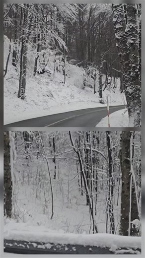 ❄️🏔️ Winter wonderland in Croatia — Gorski Kotar Snowy forests, crisp mountain air and cozy villages — this is Croatia’s alpine heart. Remarkably, it’s only 30 minutes from the sea coast, so you can swap turquoise bays for snowy peaks in no time. Perfect for winter hikes, sled rides and warm moments by the fireplace. ✨🔥 #katarinaline #GorskiKotar #WinterWonderland #Croatia #FromSeaToMountains WinterEscape NatureLovers AdriaticMagic TravelCroatia UnforgettableJourneys | Katarina Line Croatia