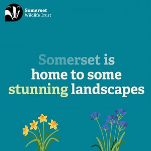 1.5K views · 23 reactions |  A big thank you to Bath Spa University...