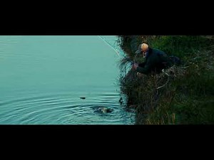 walk in kyoto 2025 December Week 2 : Installment 151