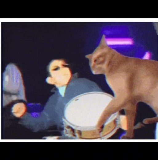 Cat Friday I mean Black Friday deals are up!