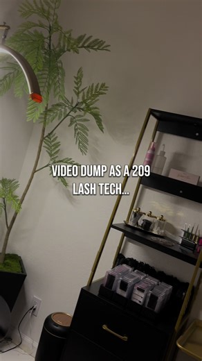 Expert Lash Services in California for Light Volumes