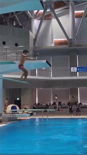 Mr Olympics diving