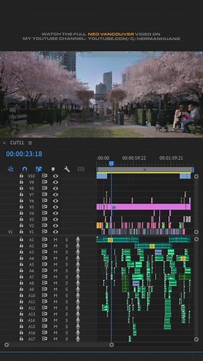 Herman Huang on TikTok