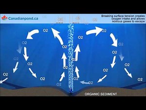 Effects of Aeration with Bubble Tubing Air Diffuser