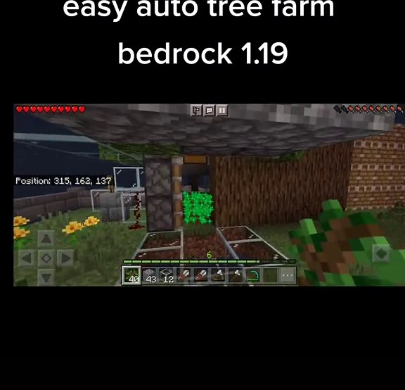 Automated Bedrock Tree Farm Tutorial in Minecraft