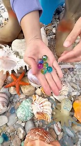 379K views · 2.6K reactions | What a day for shelling! Found these beautiful, vibrant pieces – looks like "Fort Myers Beach" always delivers incredible finds! #FortMyersBeachShelling #Shelling #BeachFinds #ColorfulGems #OceanTreasures #BeachLife #FloridaBeaches #NatureFinds | SocialSphere Central | Facebook
