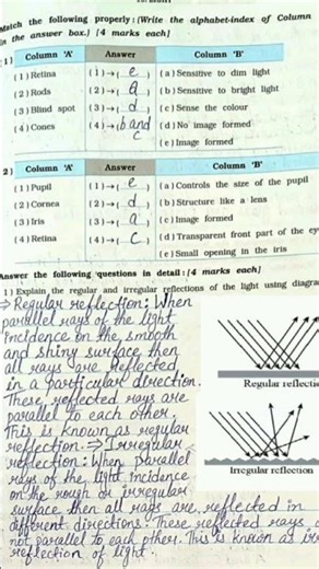 Regular and Irregular Reflections of light #successeducationchannel #workbookanswers #light