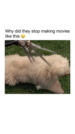 teti_trendz on Instagram: "follow👉@teti_trendz for more post and reels The movie Edward Scissorhands brought one of the most memorable modern fairy tales to the screen. Directed by Tim Burton, the film centers on Edward, an artificial man left unfinished by his inventor and given scissors for hands. He is discovered by a kind suburban woman and brought into a pastel colored neighborhood that feels cheerful on the surface but quickly reveals its judgmental side."