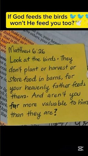 Matthew 6:26 – If God Feeds the Birds, He Will Provide for You | Powerful Catholic Motivation 🙏🕊️