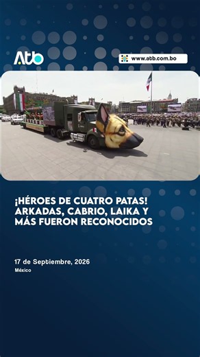 ¡HÉROES DE CUATRO PATAS! ARKADAS, CABRIO, LAIKA Y MÁS FUERON RECONOCIDOS