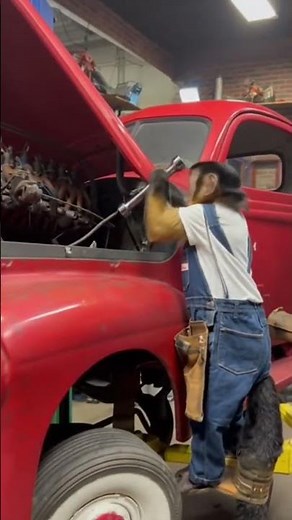 Monkey mechanic repairing a truck