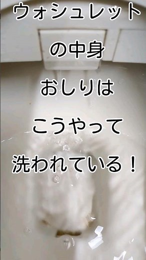 ウォシュレットのノズルの作動原理が分かる！TOTO、ネオレスト、アプリコットなど。
