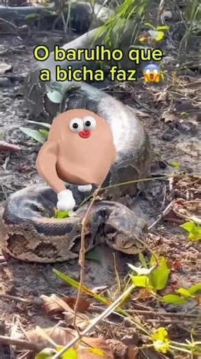 python shedding its skin #shots #fishing #oyo