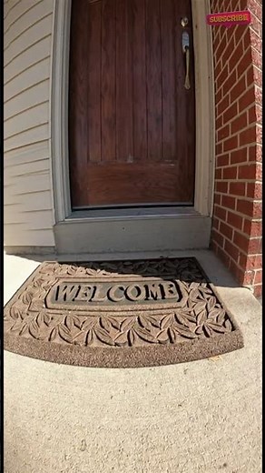 SHOCKING MOMENT: Golden Eagle Attempts to Snatch Cat | Unbelievable Survival Footage