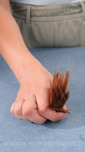 3.4M views · 6.4K reactions | Satisfying Brush Cutting | Science, Tech and Universe | Facebook