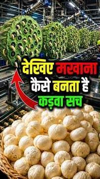 मखाना कैसे बनता है 😱 99% लोग नहीं जानते!🔥