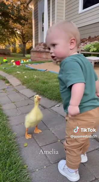 Funny Baby Moments in the USA