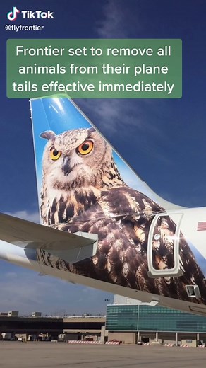 Frontier Airlines Removes Animals from Plane Tails