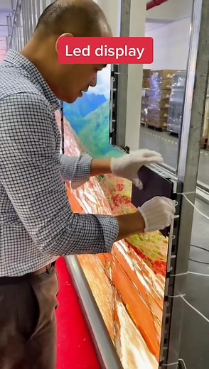 Susan Wang on TikTok