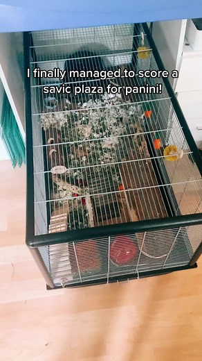 Savic Plaza Cage Review for Hamsters