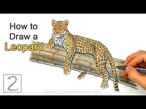 How to Draw a Leopard Resting on a Tree