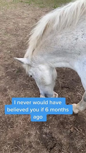 Sophie Marie (@sophie.marie.1)’s videos with som original - imbyers