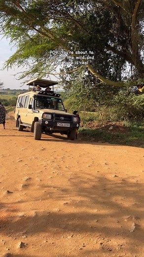 12 reactions | Engines roaring, adventure calling  While you’re about to begin a game drive, which wild animal are you hoping to see first? Drop your answer in the comments #travelwithus #adventureawaits #africa #adventure #getaway #magicalkenya #travel #wildlife #tembeakenya #views #masaimara #safariadventure #gamedrive | Stejos Tours and Travel | Facebook