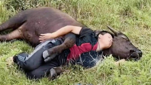 When Animals Become Soulmates With Their Humans