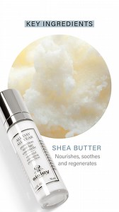 During the daytime, our skin uses its energy to protect itself. All Day All Year is the perfect day care product, supporting the skin by acting as a global protective shield. It protects the skin while activating its self-defense* mechanisms to keep the skin looking younger for longer. | Sisley Paris