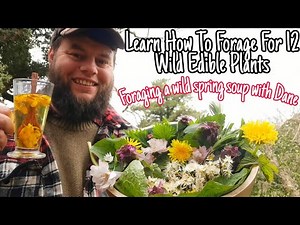 Learn How to Forage For 12 Wild Edible Plants 🌿 Foraging a Wild Spring Soup With Dane