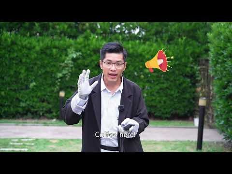 How to Train the Dogs with Patpet Dog Collar [Chinese] | PATPET