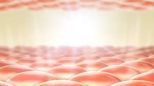 clip-1061073586-animation-serum-through-skin-layer-reduce-saggy