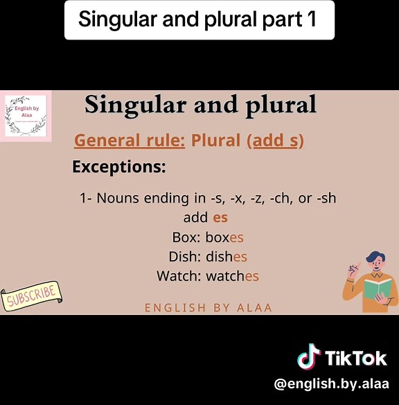 Singular and Plural in English: Understanding Nouns Part 1