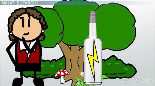 Starch | Definition, Structure & Function