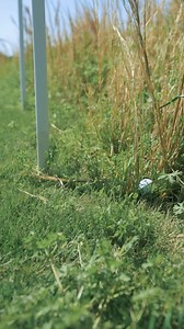 1M views · 4.1K reactions | I think we all need 'Hazard Helpers' in our golf lives!  | Rick Shiels Golf | Facebook