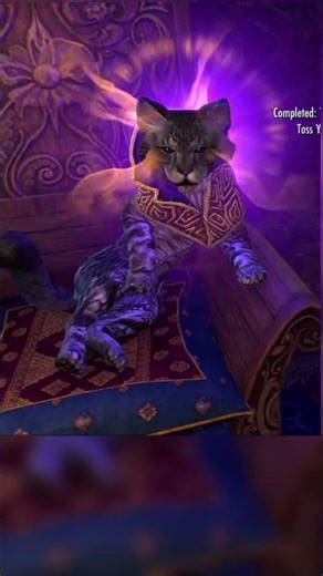 "No…! Wait…yes! Grr!" Skooma Cat