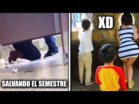 22 MINUTOS DE MEMES XD