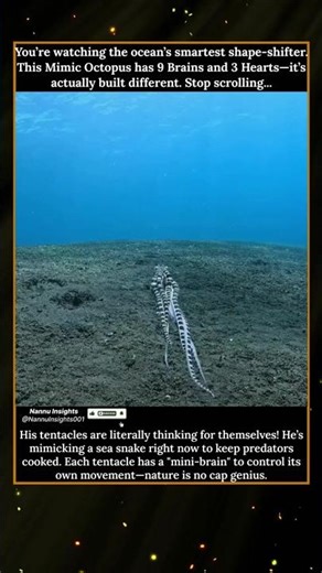 This Mimic Octopus has 9 Brains and infinite Aura! (Tentacle Glitch) #DeepSeaMysteries
