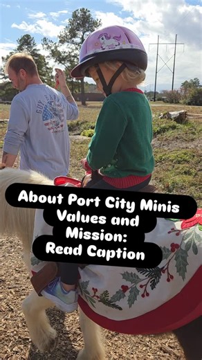 Some people think Port City Minis is just a pony business… but the truth is, it’s a heart project. A healing place. My healing place. A soft spot in a world that isn’t always gentle. This is a fact: I never, ever want to intentionally make anyone feel bad, excluded, triggered, or small. My mission has always been the opposite— to uplift, to encourage, to give families and kids a moment of joy they can hold onto. In a world where drama sells, where negativity seems to be the new normal, and where