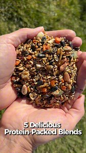 When my girls hear this bag, they come running! Love My Girls® chicken treats are packed with real ingredients like protein-packed mealworms to make every peck count. Because they’re not just chickens — they’re part of the family. ❤️ #chickens #treats #chickensofinstagram | Simplychickensofficial