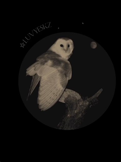 Wicked Game: Chris Isaak Lyrics and Aesthetic