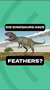 10K views · 239 reactions | 襁 Did dinosaurs have feathers? What does the evidence say? Watch the full episode next Tuesday, 5/28, or become a member on our YouTube channel to get early access as well as access to additional content! #TheCreationPodcast | Institute for Creation Research (ICR) | Facebook