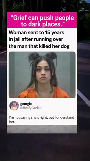 Woman Gets 15 Years After Running Over Man Who Killed Her Dog #fypシ